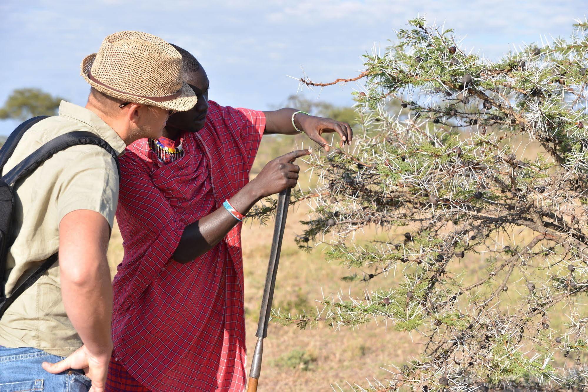 Basecamp Eagle View Hotel Maasai Mara Exterior photo