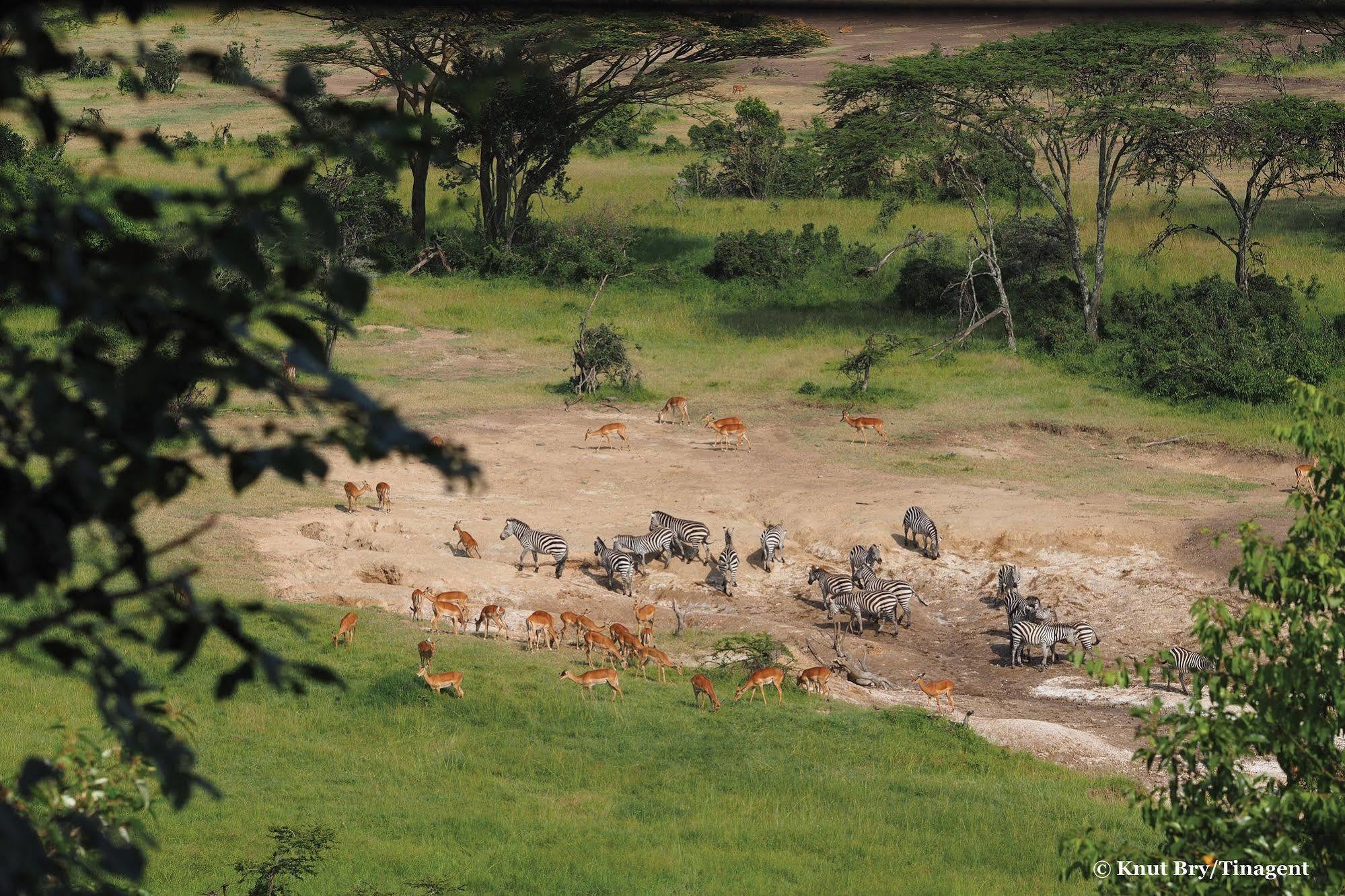 Basecamp Eagle View Hotel Maasai Mara Exterior photo