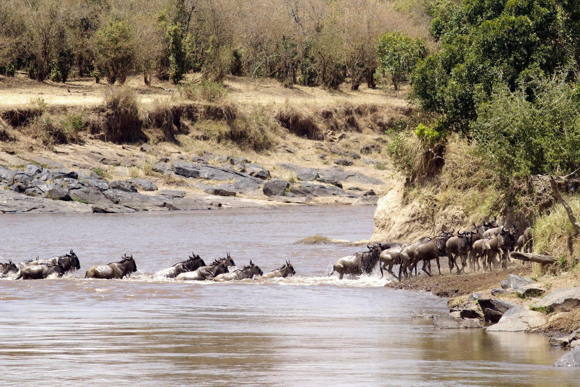 Basecamp Eagle View Hotel Maasai Mara Exterior photo